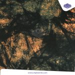 Combed Printing – Black Eye Galaxy – Coklat