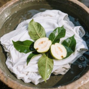 Daun Jambu Biji